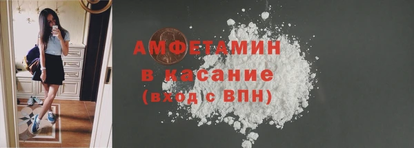 молекула духа Осинники