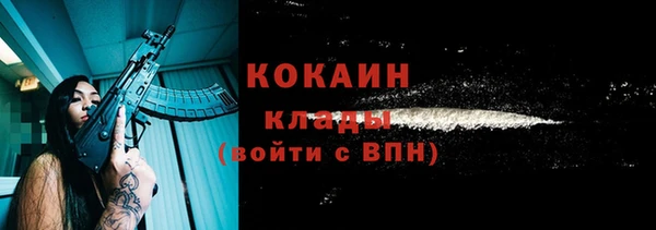 молекула духа Осинники
