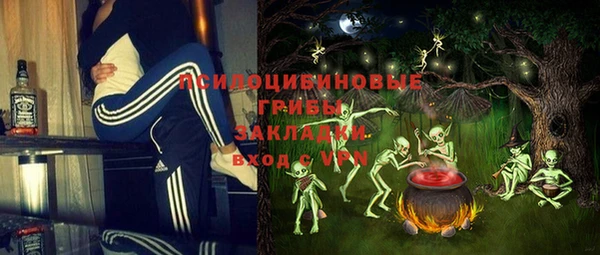 гашик Алексеевка