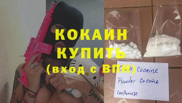 молекула духа Осинники