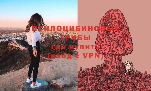 ALPHA-PVP Остров
