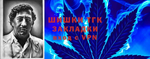 соль ск Алзамай