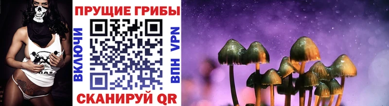 mega вход  Каргат  Галлюциногенные грибы мицелий 
